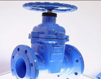 Rubber Sealing Gate Valve,PN16