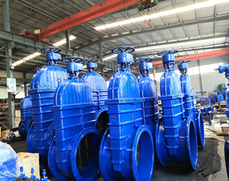 Big size gate valve goods