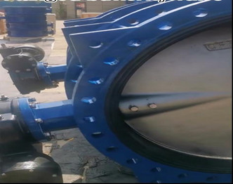 DN1200 Flanged butterfly valve