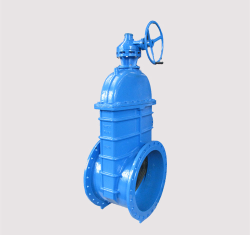 Non-rising stem Gate Valve