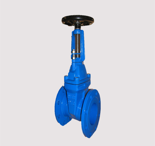 Rising Stem Gate Valve