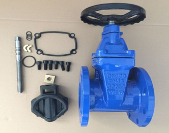 Gate Valve