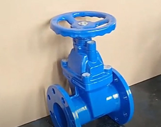 Rubber sealed gate valve DN100