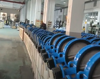 Butterfly valve goods