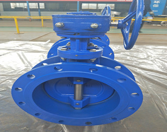 Double Offset Butterfly Valve,PN16