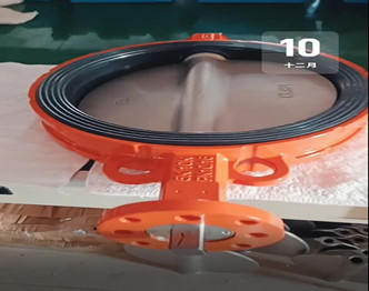 Wafer Butterfly Valve