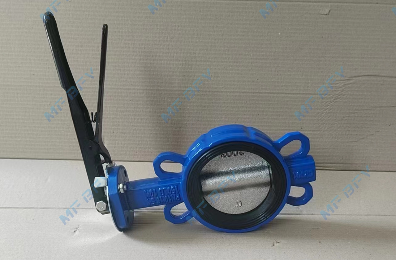 Ductile lron Wafer Butterfly Valve Body