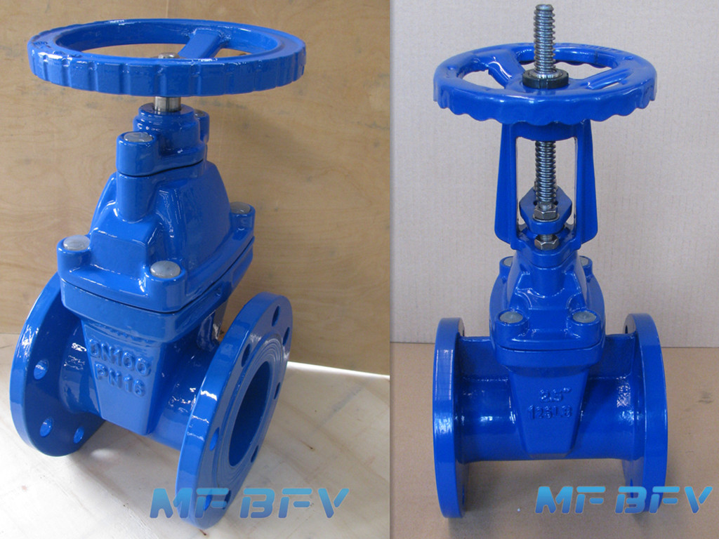 Non Rising Stem Gate Valve & Rising Stem Gate Valve